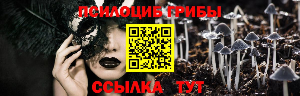 Псилоцибиновые грибы мухоморы Фролово
