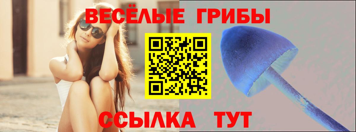 Галлюциногенные грибы мухоморы  Вход с VPN  Фролово 